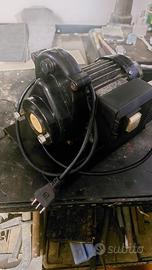 trita e carne e passata di pomodoro