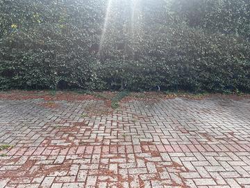 Posto Auto recintato,vicino alla Stazione di Signa