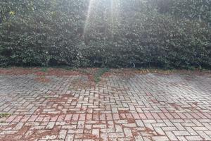 Posto Auto recintato,vicino alla Stazione di Signa