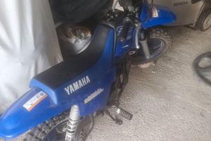 Minicross Yamaha pw 50