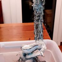 Operculicarya decaryi pianta da collezione!!!