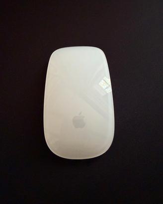 Apple Magic Mouse.
