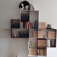 Libreria Mondrian PEZZANI