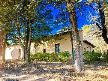 Azienda agricola zona Castel San Gimignano