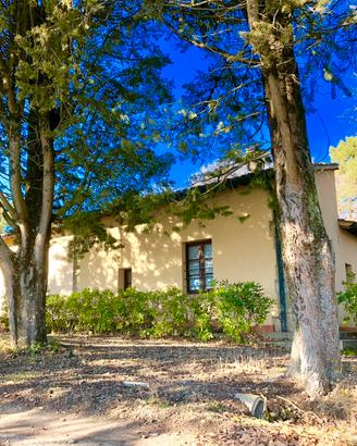 Azienda agricola zona Castel San Gimignano