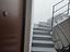 Immagine 11