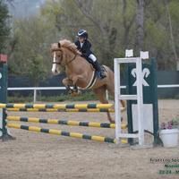 Super pony salto ostacoli