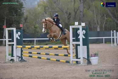 Super pony salto ostacoli