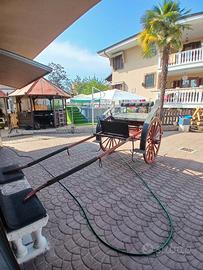 calesse/carrozza a 2 ruote