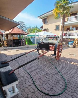 calesse/carrozza a 2 ruote
