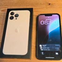 iPhone 13 Pro Max 256GB
colore oro Gold