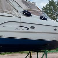 Sessa Oyster 30