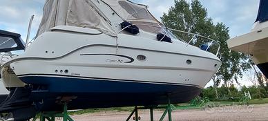 Sessa Oyster 30