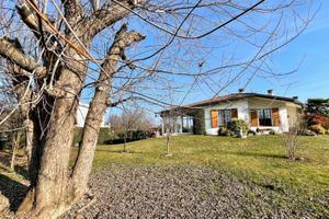 MERAVIGLIOSA VILLA CON PARCO: luminosità e priv...