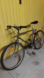 Specialized Hard Rock Vintage