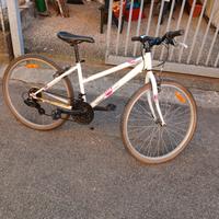bicicletta con marce