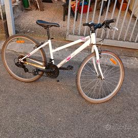 bicicletta con marce