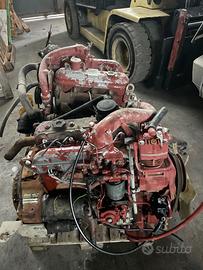 Motore iveco turbozeta 65.12 - 79.12 8040.25