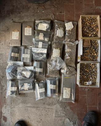 Lotto transistor NOS SGS vintage – ingrosso
