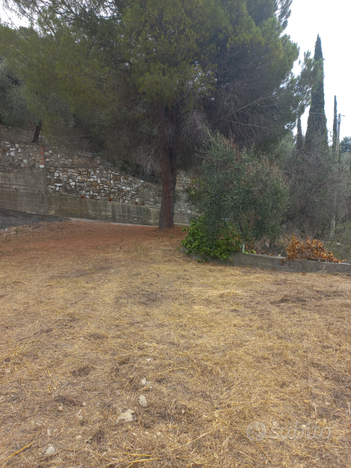 Terreno tra gli ulivi a due chilometri dal mare