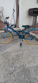 bicicletta