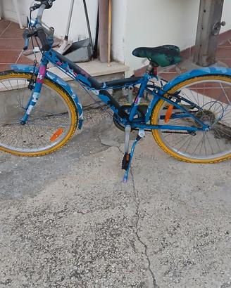 bicicletta