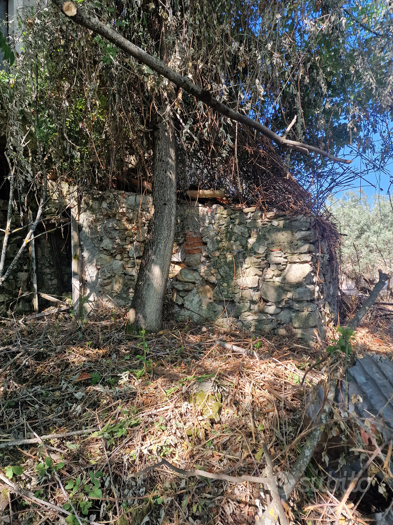 Fabbricato a Sant'Ippolito con terreno - Vista 3