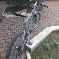 bici MtB