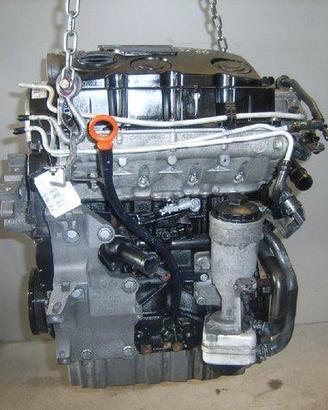 PBL134 Motore VW / Seat / Audi 1.9tdi BLS [03/--]