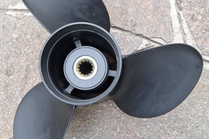 Elica Evinrude e-tec 13x19