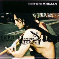 Rock italiano Nico Fortarezza 2 cd
