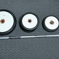 Biilanciere con dischi