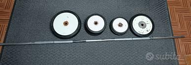 Biilanciere con dischi