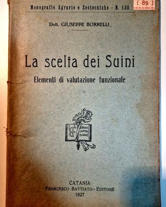 Libro antico 1927 scelta dei suini agricoltura zoo