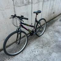 Bici da città