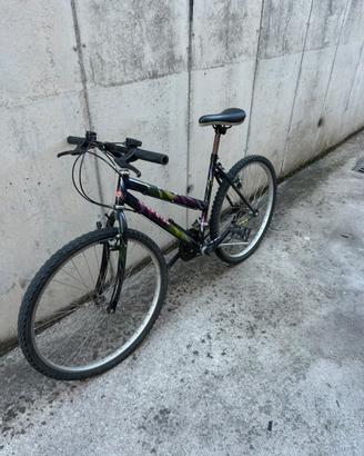 Bici da città
