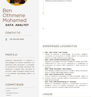 Carpentiere saldatore