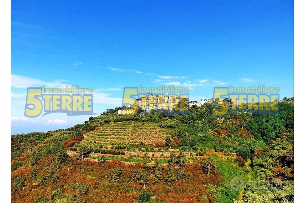 Rustico / Casale di 25 m² con 2 locali a Riomaggio - Vista 2