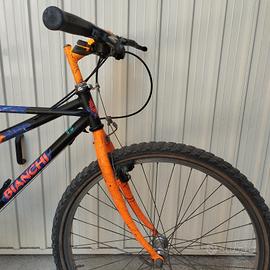 Thomisus bianchi ragno tg M