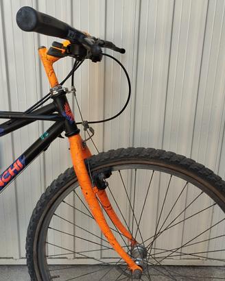 Thomisus bianchi ragno tg M