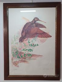 Serigrafia Nilo Bacherini