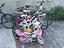 Immagine 6