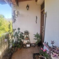 Appartamento con terreno