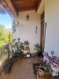 Appartamento con terreno