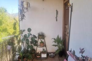 Appartamento con terreno