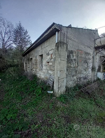 Terreno con rustico a Castelbuono