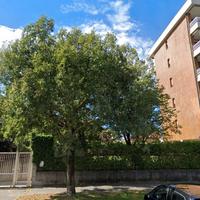 Box Singolo via Don Mezzera - San Giuseppe
