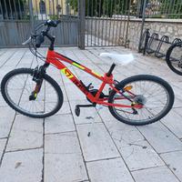 bici Aurelia 24