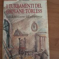 I TURBAMENTI DEL GIOVANE TORLESS