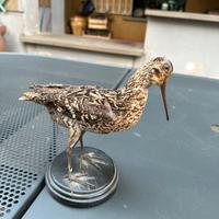 Beccaccino impagliato su base in legno